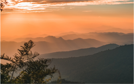 a sunset over a hill range with tree branches in the foreground